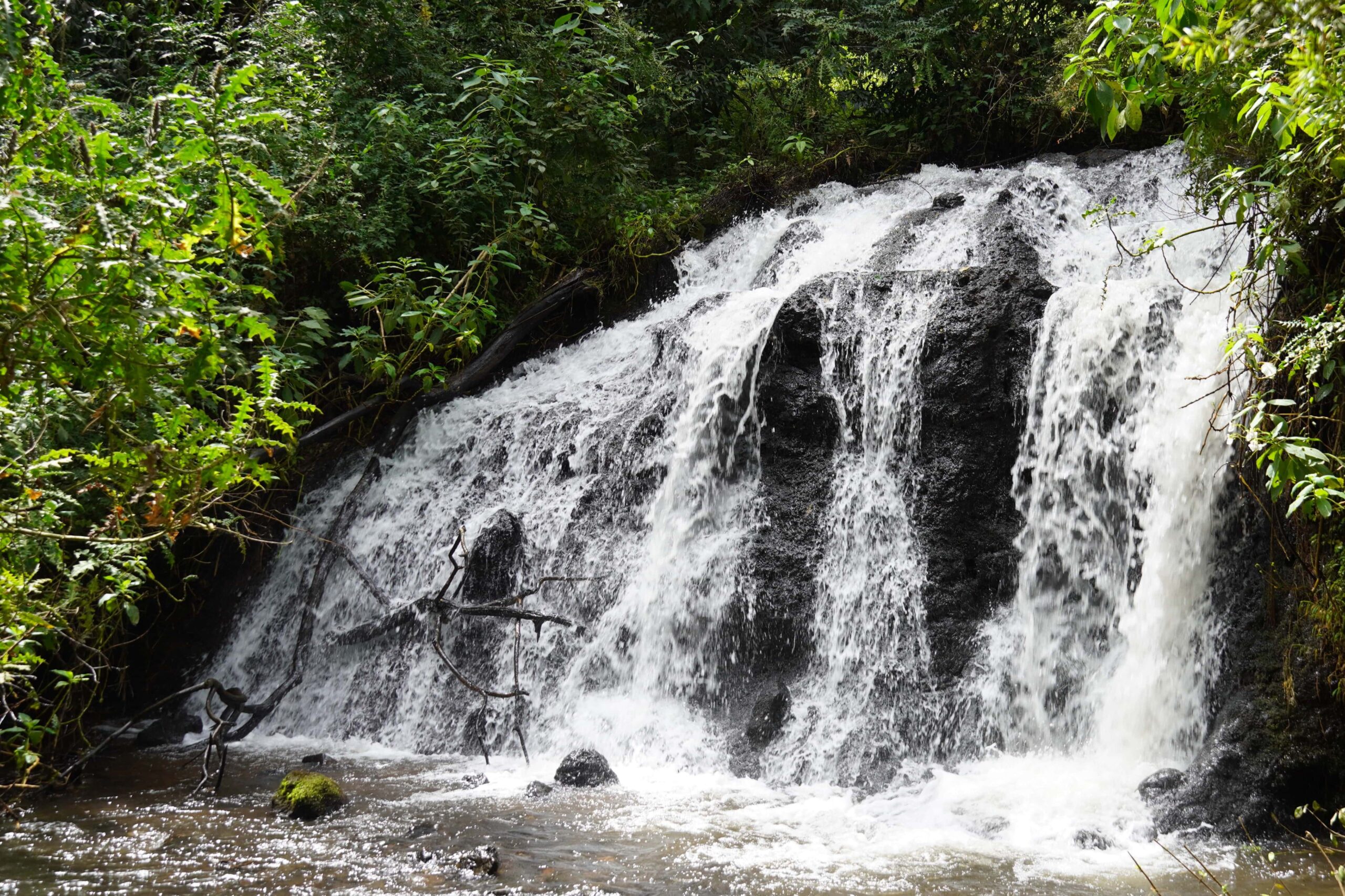 Waterfall in forest