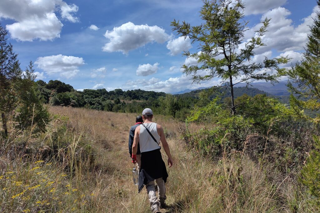 endebess nature walk