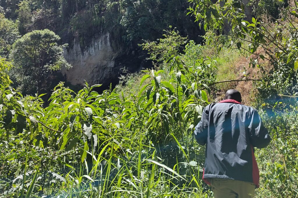 endebess nature walk