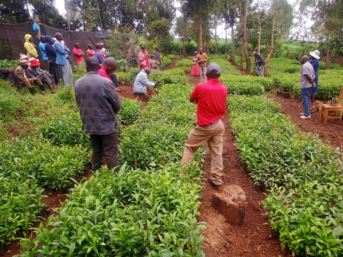 Community Education at a tree nursery
