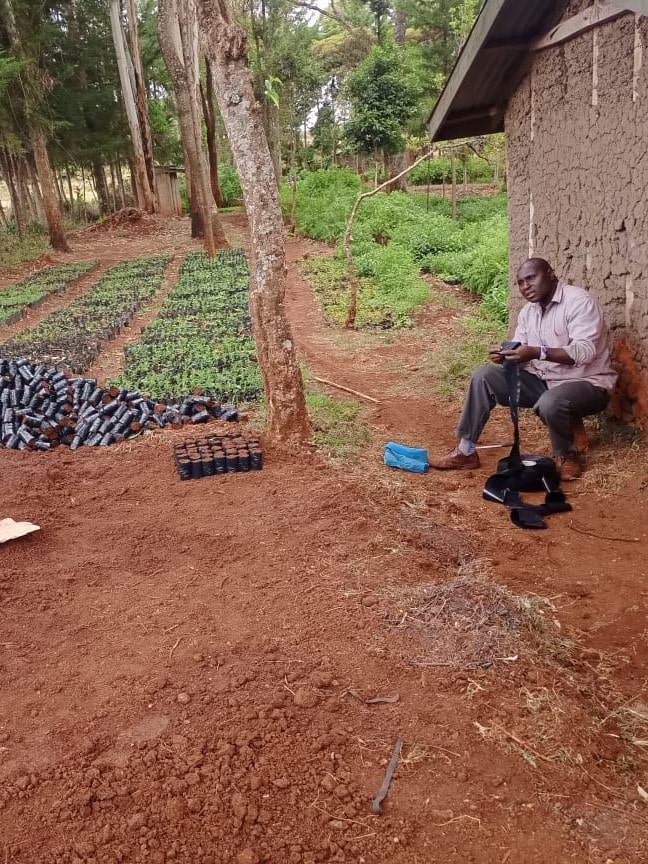 Preparing Soil to grow tree seedlings