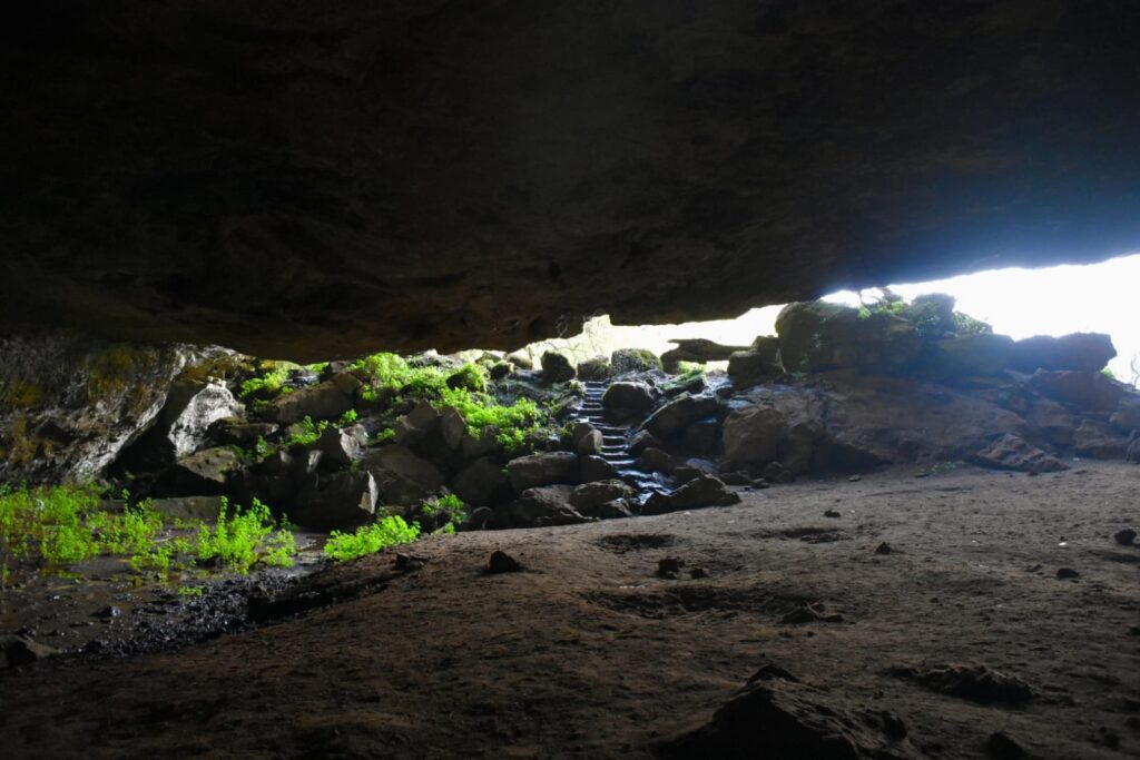 View out of a cave