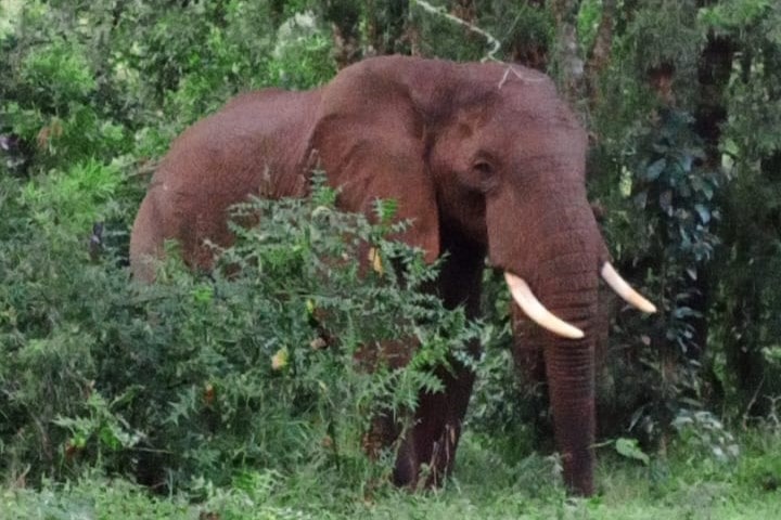 img 20250925 wa0218 min