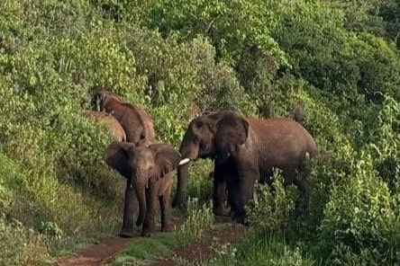 img 20250926 wa0073 min