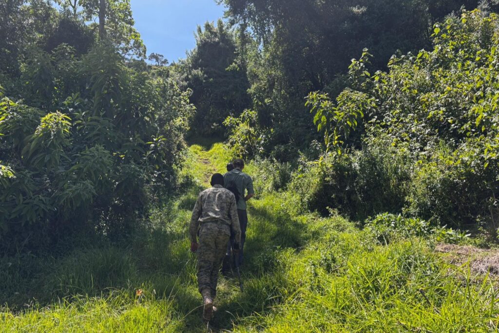 Nature walk in mount elgon