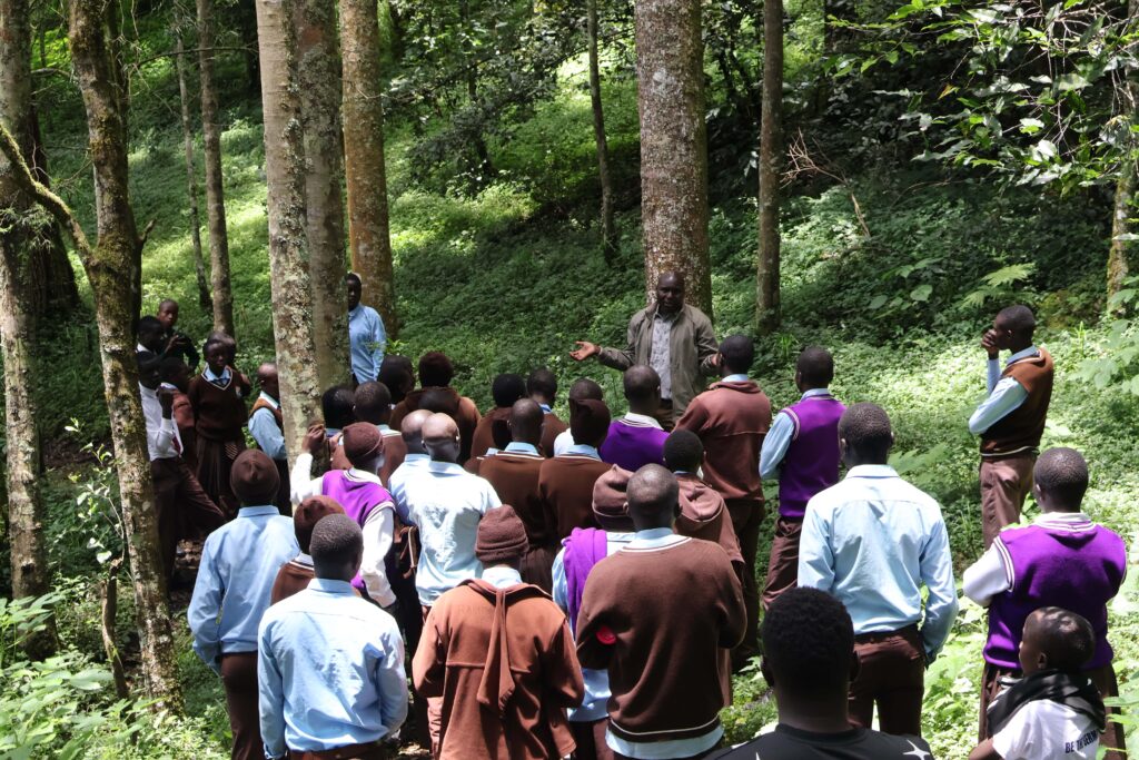 School class in park