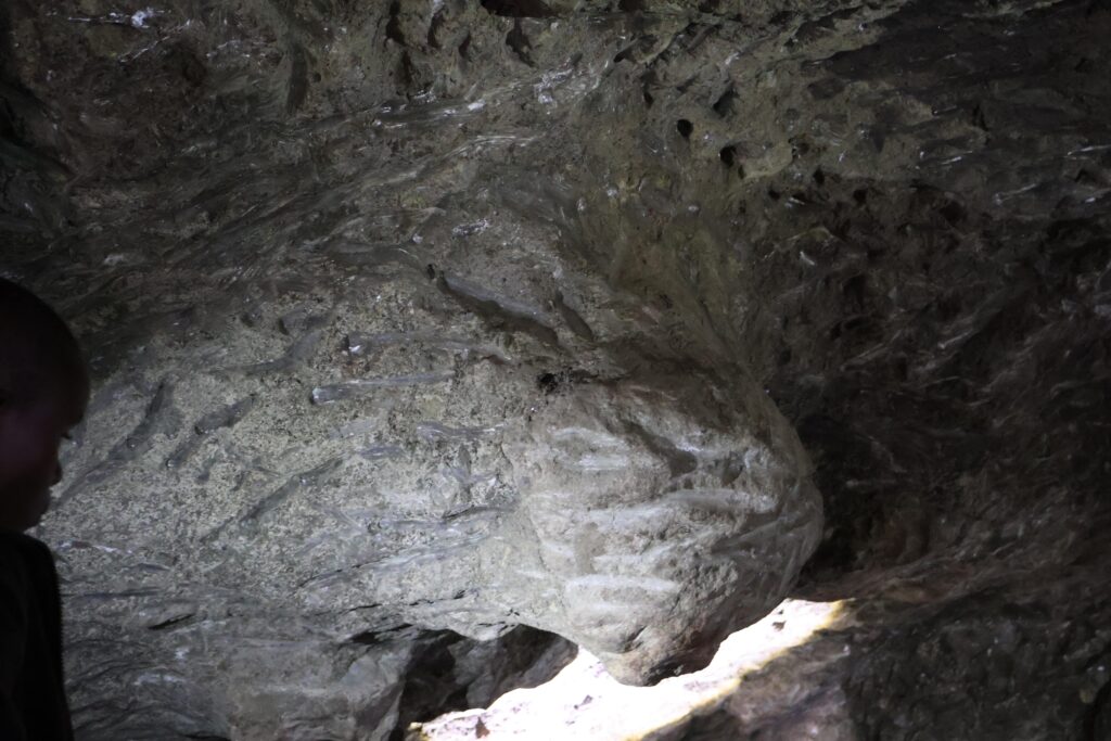 Traces of elephants licking walls of a cave
