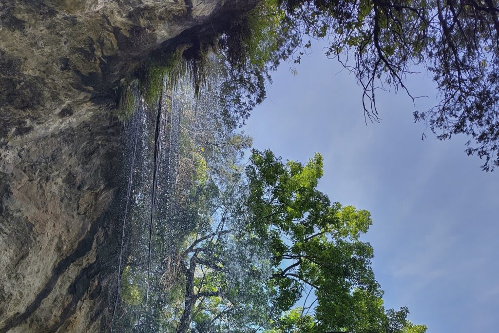 Chepnyalil Waterfall