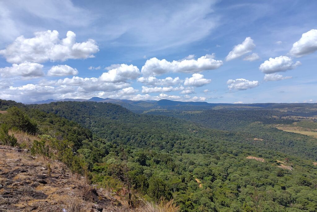 img 20251209 125355 min