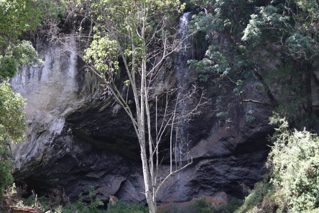 Chepnyalil Cave