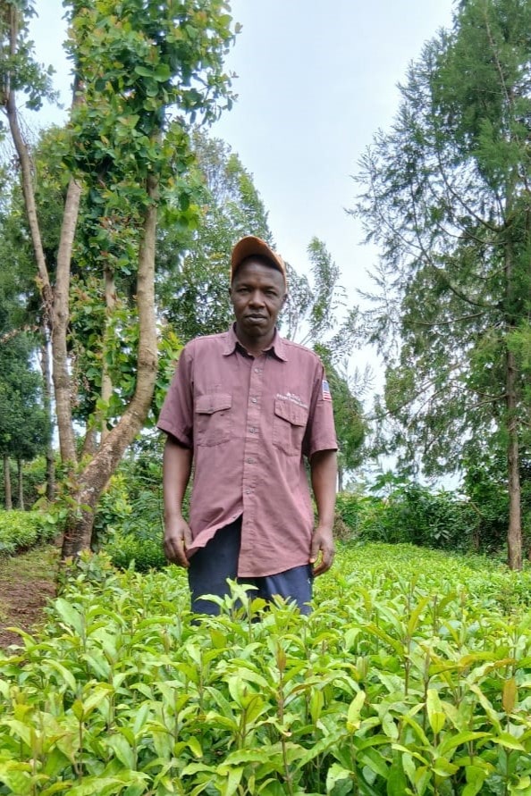 whatsapp image 2025 11 30 at 14.46.22 min