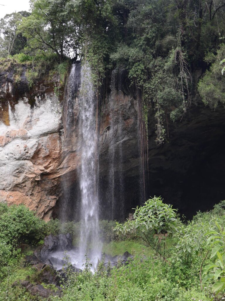 The park Cave in forest