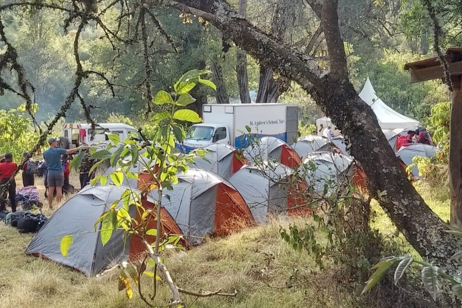 camping in the forest