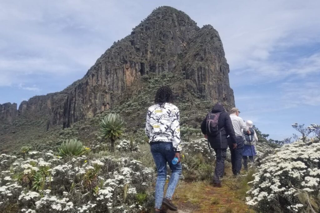 whatsapp image 2026 01 15 at 08.59.44 (1)