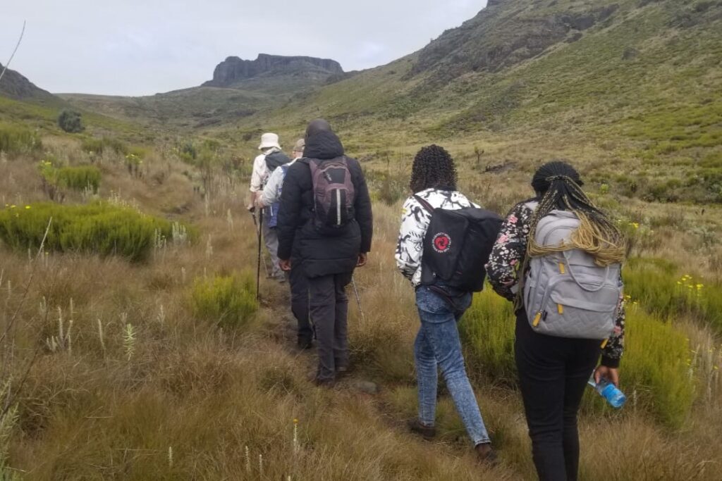 whatsapp image 2026 01 15 at 08.59.46 (1)