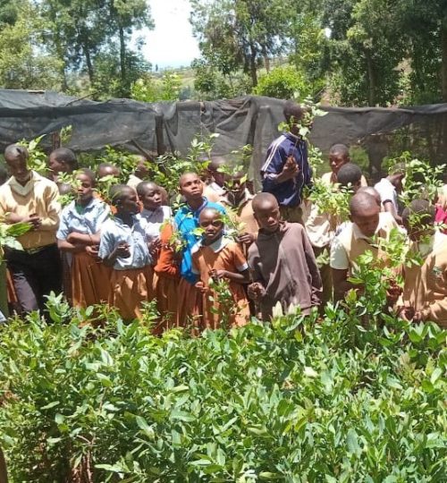 Educating school class about planting trees and conservation