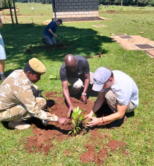 Planting Tree in Mount Elgon Nationalpark