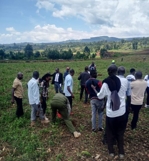 Community planting trees
